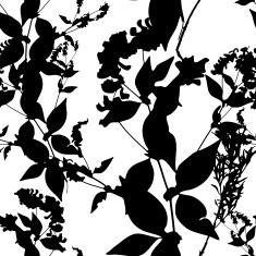 Black flowers on white background Seamless pattern Vector N4