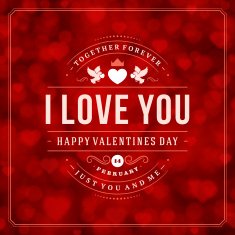Happy valentine's day greeting card N47