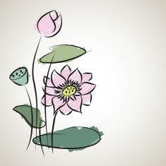 water lily pattern of illustrator sketching