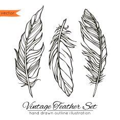 Vintage feather set isolated on white background Hand drawn vec