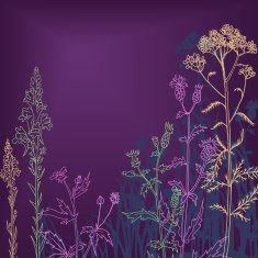 flowers and grass at night N3