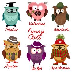funny owls set for your design N4