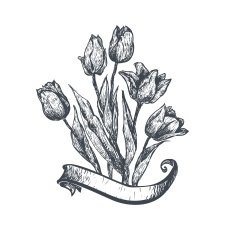 Tulips with ribbon