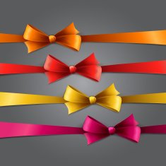 Set of silk bow N2