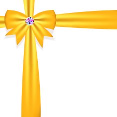 Gift Bow with Ribbon Vector Illustration N14
