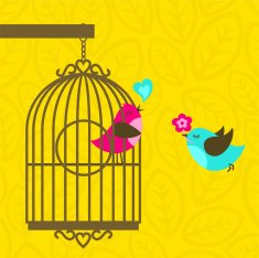 I&acute;m your birdfriend