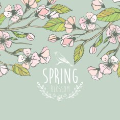 Blossoming Spring Branch Vector illustration N6