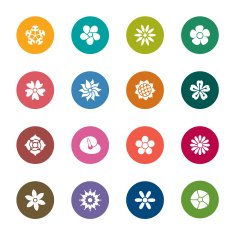 Flowers Color Icons N2