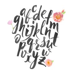 Vector alphabet written with brush pen N3