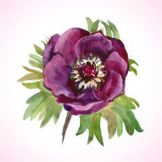 watercolor flower N25