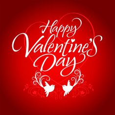 Happy Valentine's Day N293
