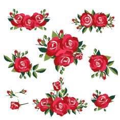 Roses on white background N2