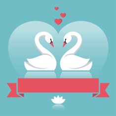 swans N6