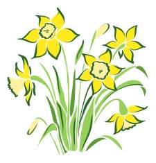 spring flowers N31