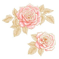 Pink Roses N9