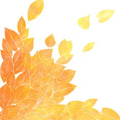 Floral composirion with leaves by watercolor N5