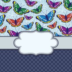 vector vintage frame with butterflies N9