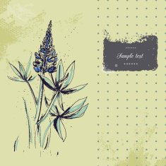 Floral card N88