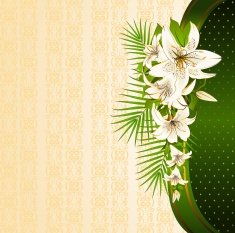 Flowers with lace ornaments on background Vector N4