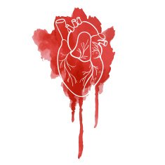 Silhouette of the human heart on a red spot watercolor
