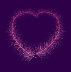 Feather heart N3