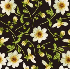 Dahlia flower watercolor botanical pattern N2