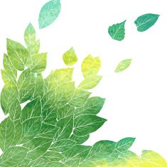 Floral composirion with leaves by watercolor N7