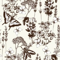 Vintage background with lilac lavender flowers sketch N2