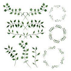 Hand-painted watercolor design elements Floral motifs Frame set