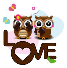 Couple of owls in love N4