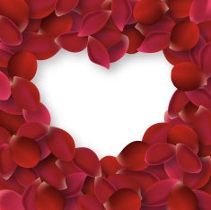 rose petals N8