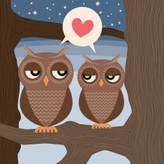 Owls In Love N14