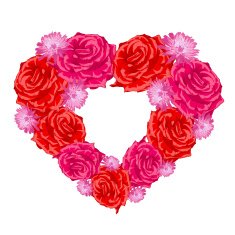 Rose heart over white N2