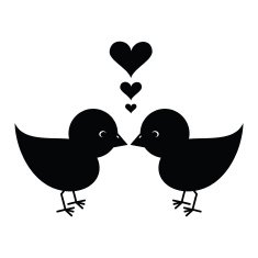 Love Birds N100