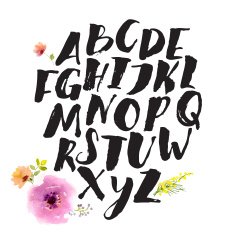 Hand drawn alphabet written with brush pen N8