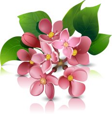 Lilac Flowers N9