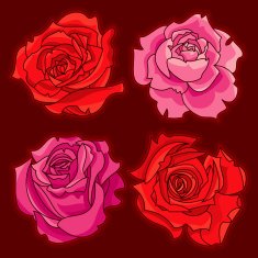 Set of Four Roses