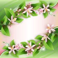 Beautiful background with delicate flowers N2