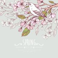 Blossoming Spring Branch Vector illustration N8