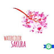 Abstract Watercolor Sakura Branch Vector