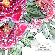 Beautiful peony bouquet design Hand drawn vector illustration N9