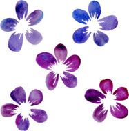 Set of watercolor flowers N3