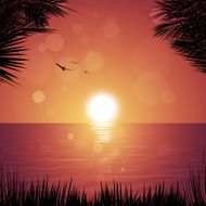 Tropical sunset N8
