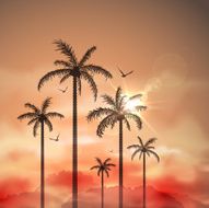 Tropical landscape with palm trees