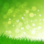 Green nature background N5
