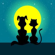 Cat and Dog N11