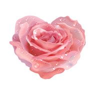 Heart-rose Vector object flower on a white background N2
