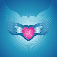Pink heart vector