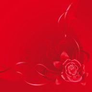 Red Background N333