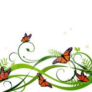 Vector Floral Background with Butterflies N2
